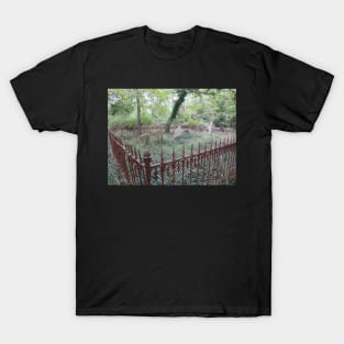 Hen Coop Cemetery T-Shirt